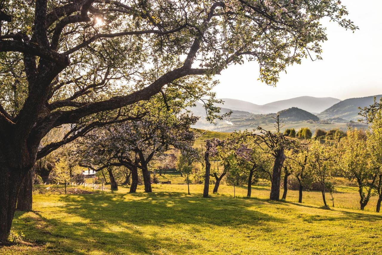 Blizej Nieba Bed and Breakfast Skrzydlna Εξωτερικό φωτογραφία